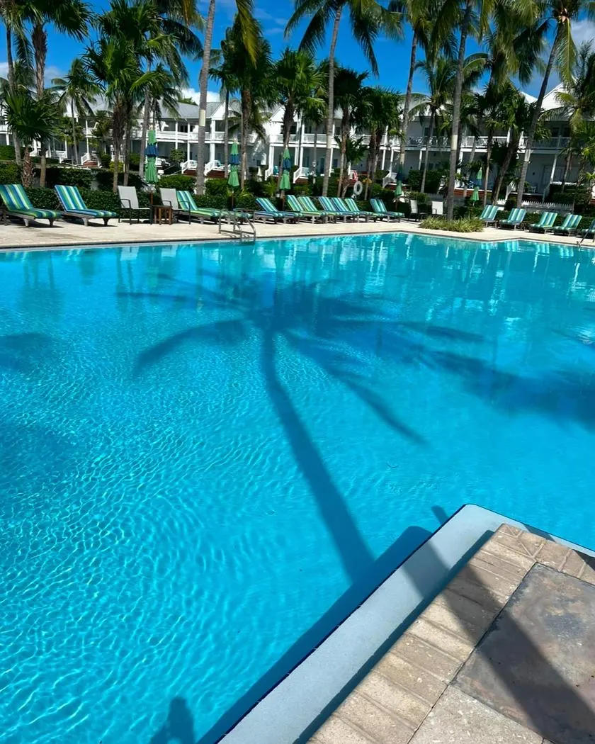 Resort pool lined with palm trees and striped loungers.
