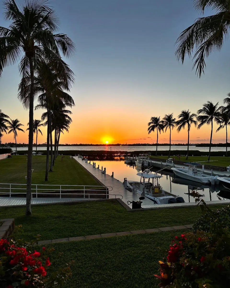 Sunset over the marina at Indigo Reef, boats moored along the docks and palm trees in silhouette.